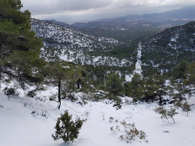 Nevada en Totana - 18 de enero de 2017 - 462